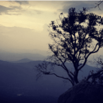 Places to Visit in Yercaud: Jewel of the South